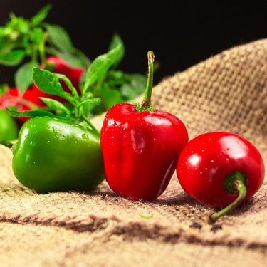Manzano Red Pepper Seeds - The Pepper Pantry (Formerly Marie Sharp's)
